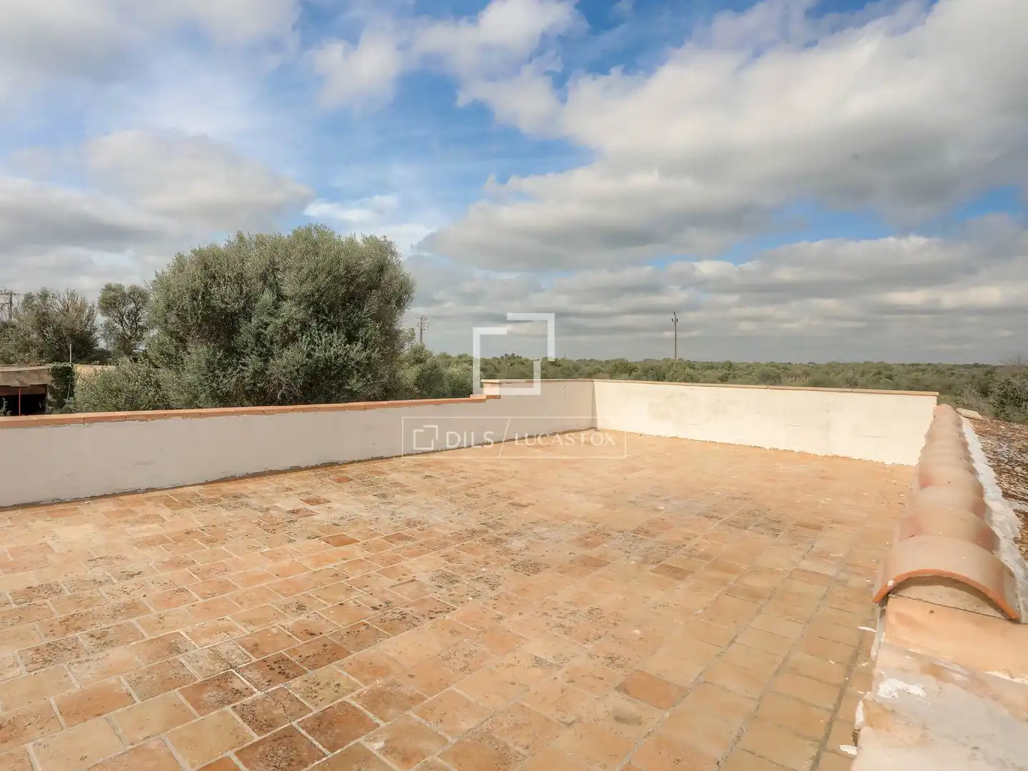 Casa rústica con jardín en venta en Llucmajor pueblo, imagen 29