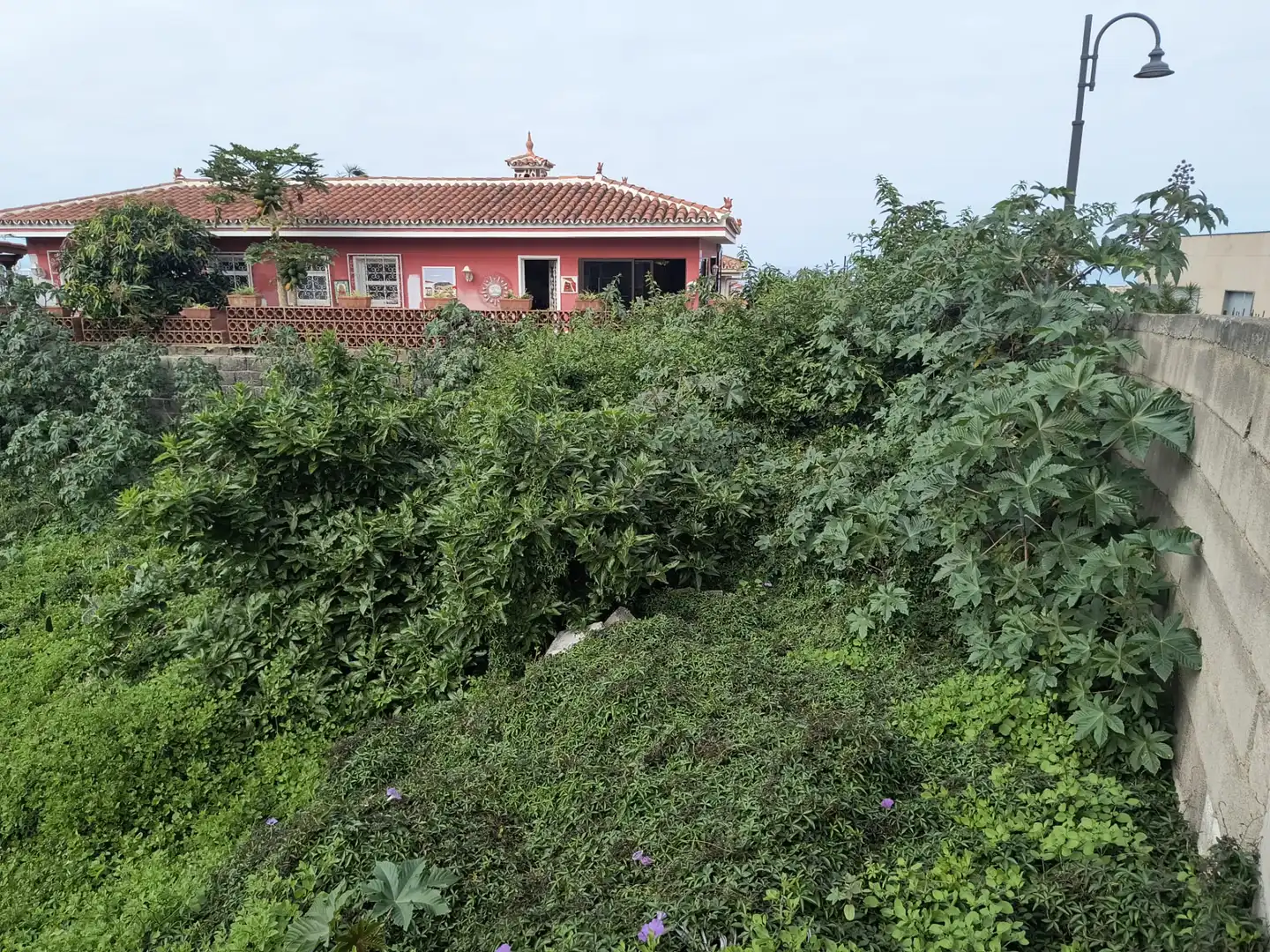 Residential zum Verkauf in Los Realejos