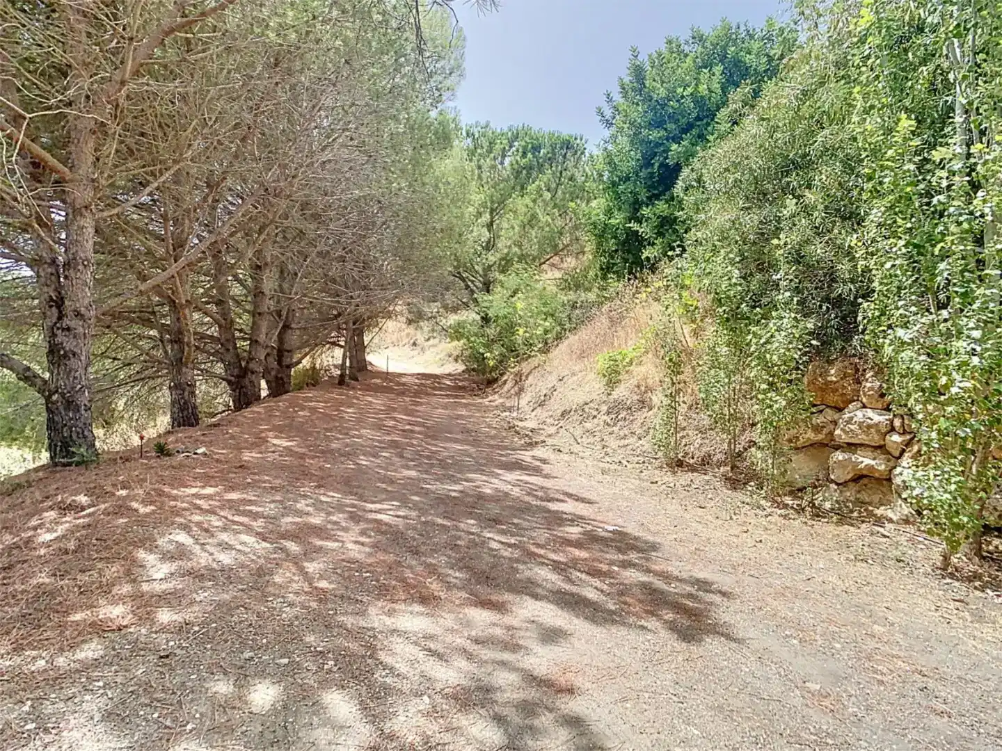 Finca rústica en venda a Camino de Benamayor, 115o, Cómpeta