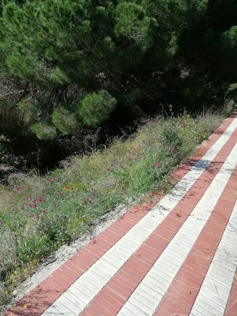 Jardín de Residencial en venta en Argentona