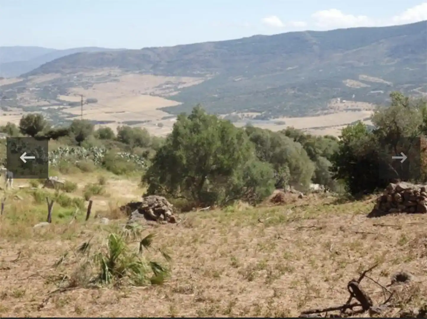Finca rústica en venta en Carretera de Betis, 40, Facinas