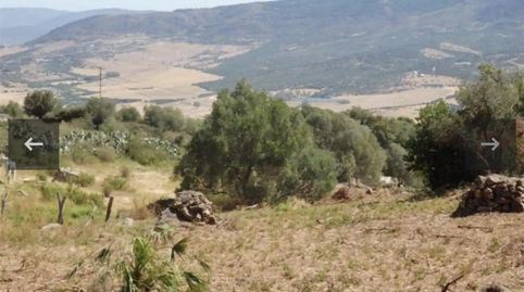 Foto 5 de Finca rústica en venda a Carretera de Betis, 40, Facinas, Tarifa