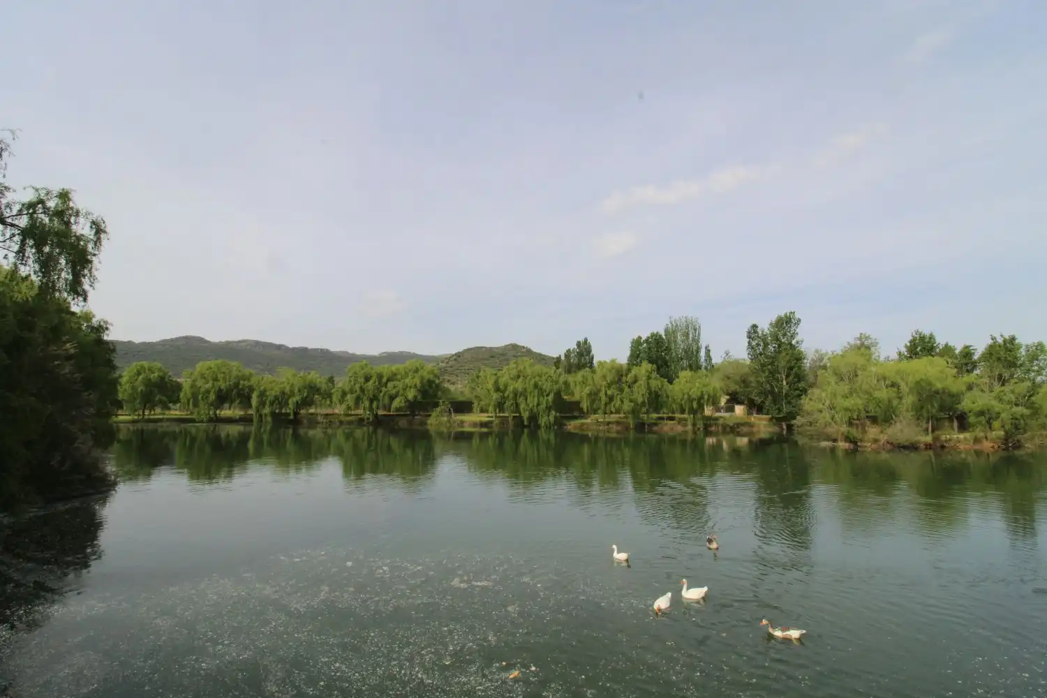 Chalet en venta en Malagón