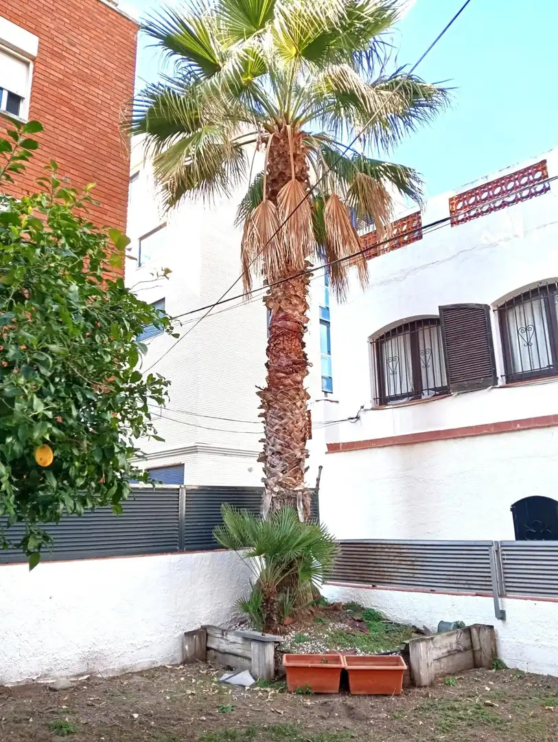 Appartamento in vendita a Segur Platja, imagen 52