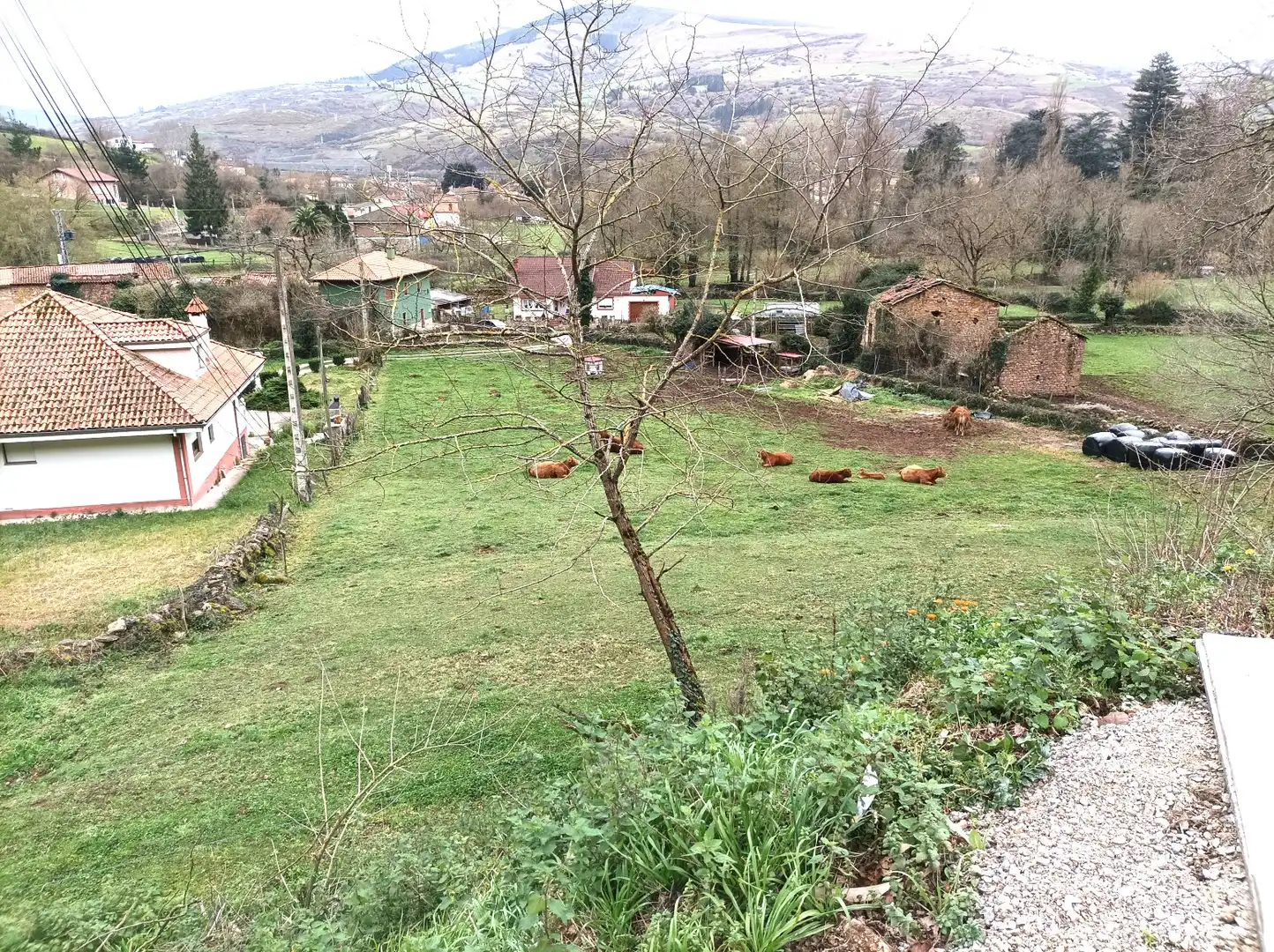 Terreno en venta en Arenas de Iguña