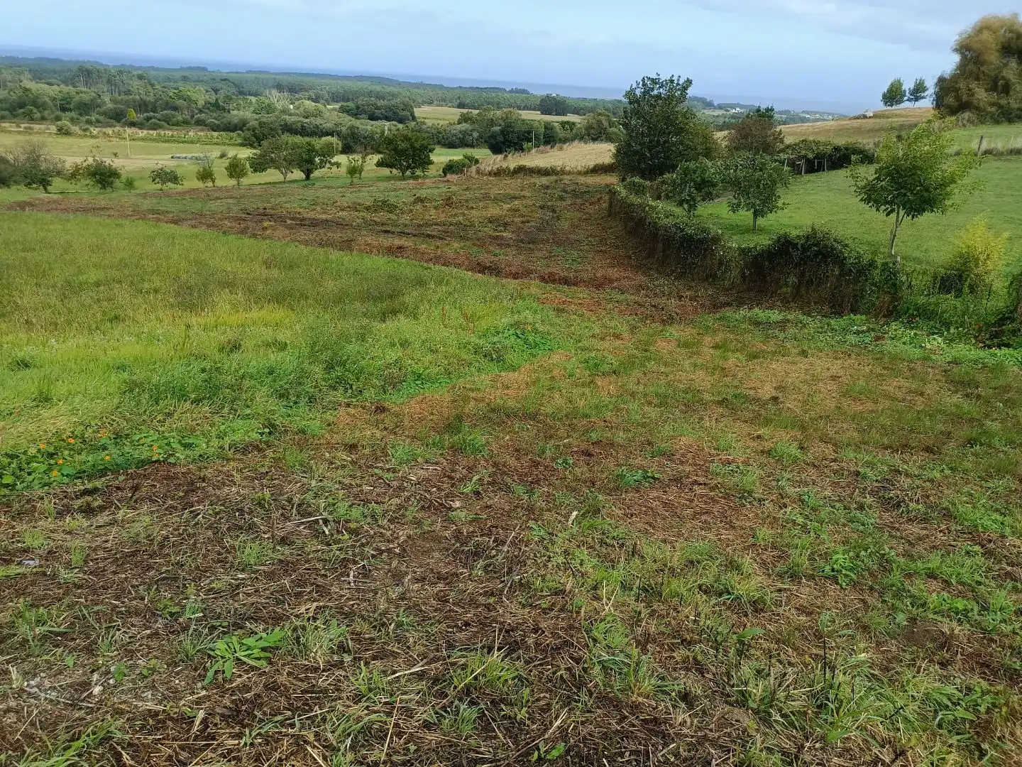 Terrain résidentiel à vendre à TC-5 8