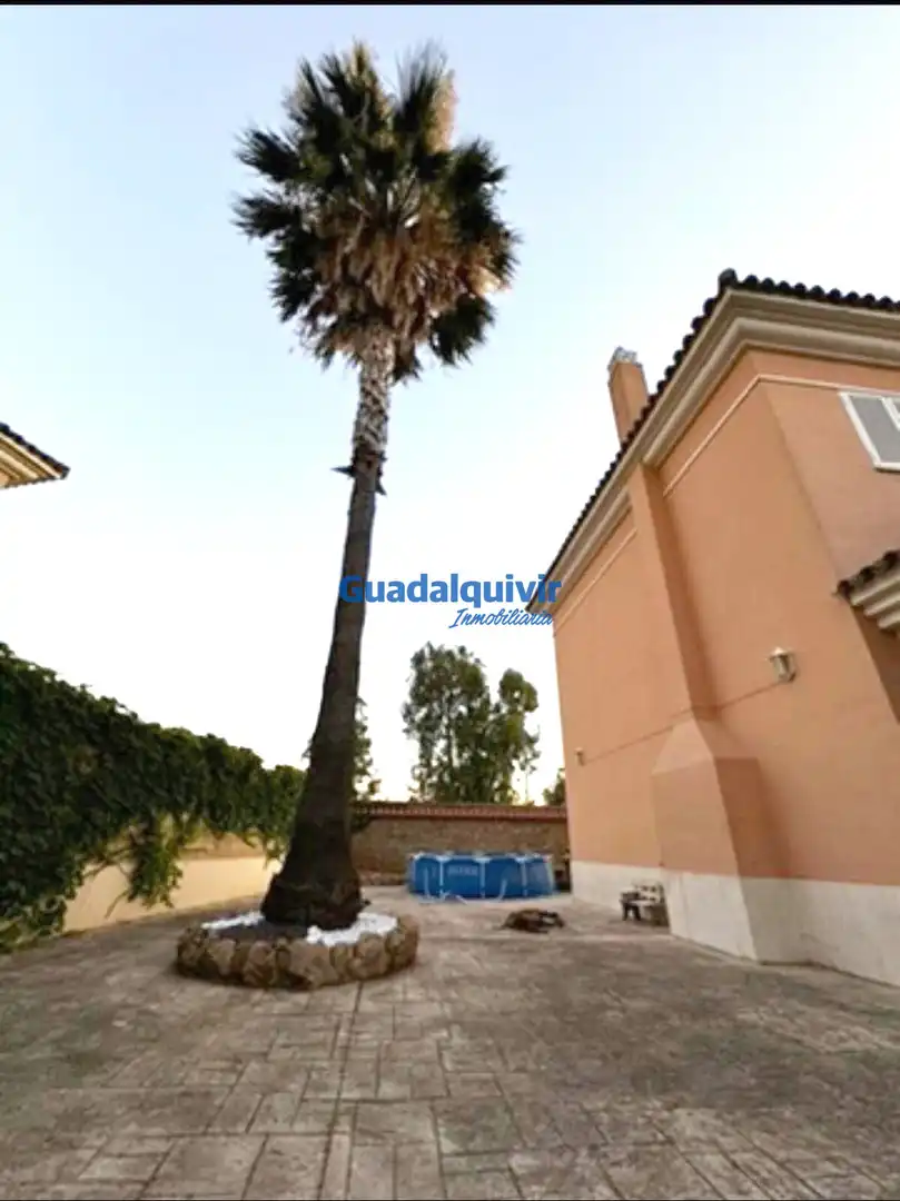Villa avec jardin à vendre à Olivar de Quintos, imagen 2