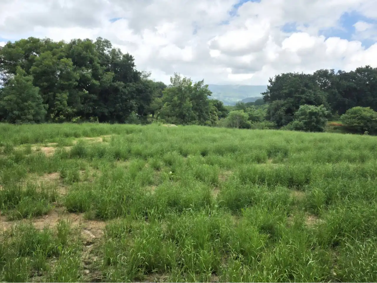 Terreno en venta en Valderrey