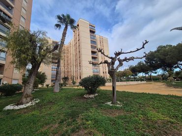 Appartement compact avec piscine à vendre à Poble Nou - Montiboli