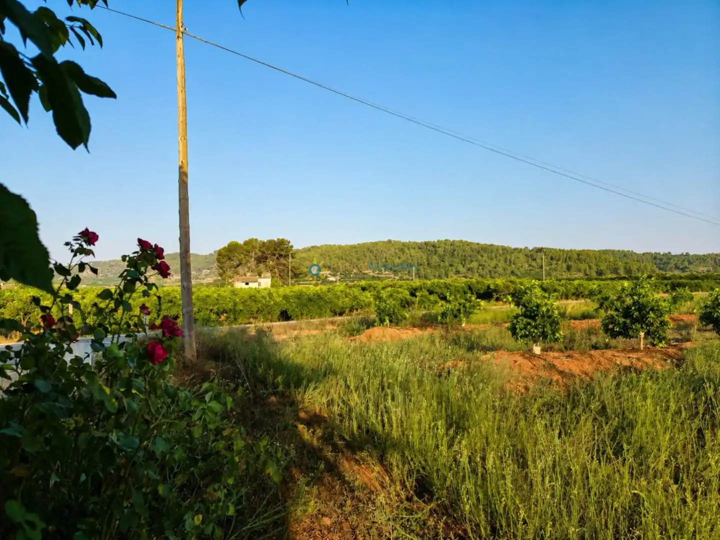 Finca rústica en venta en Sellent con Jardín privado y Terraza