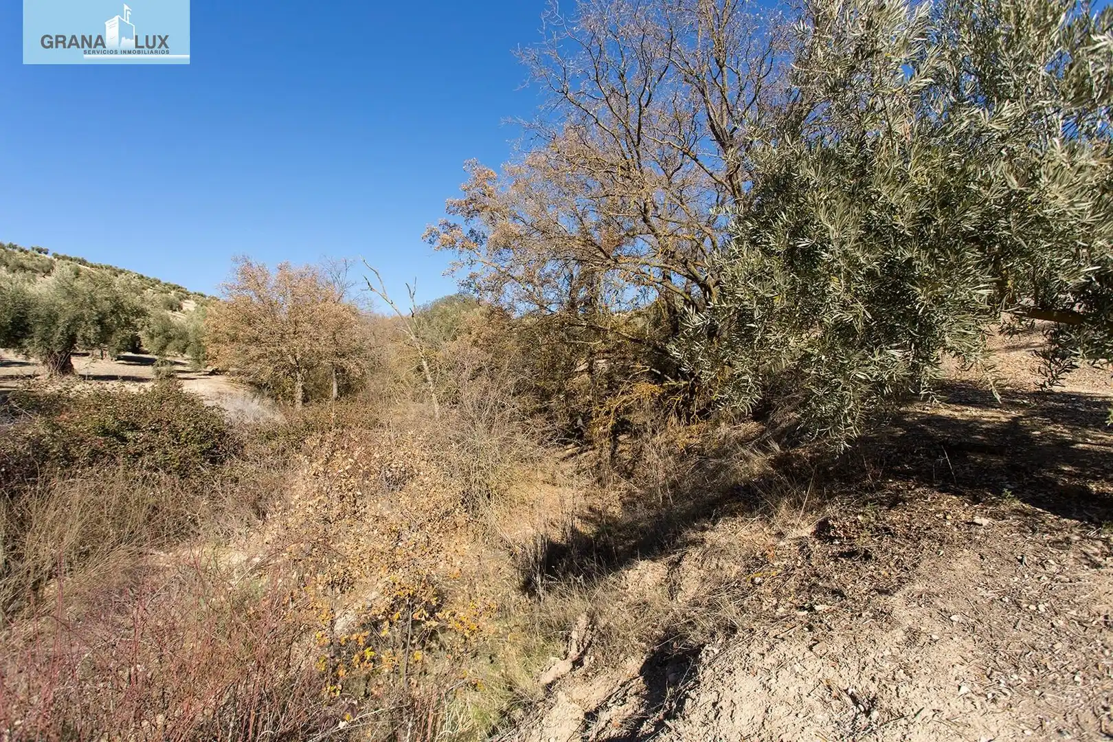 Land for sale in Campotéjar