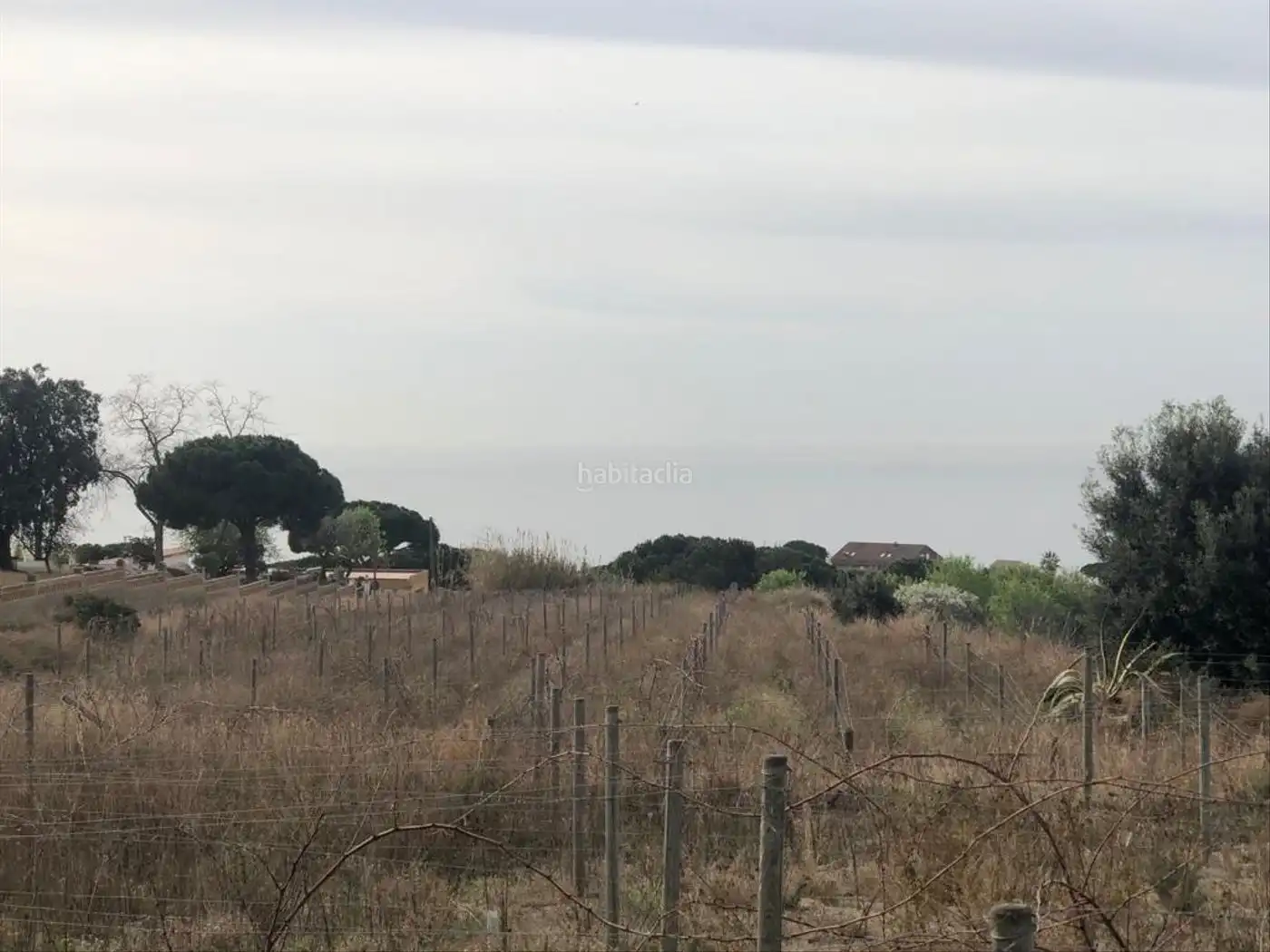 Terreno rústico en venta en Teià