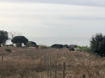 Rustikales Grundstück zum Verkauf in Teià