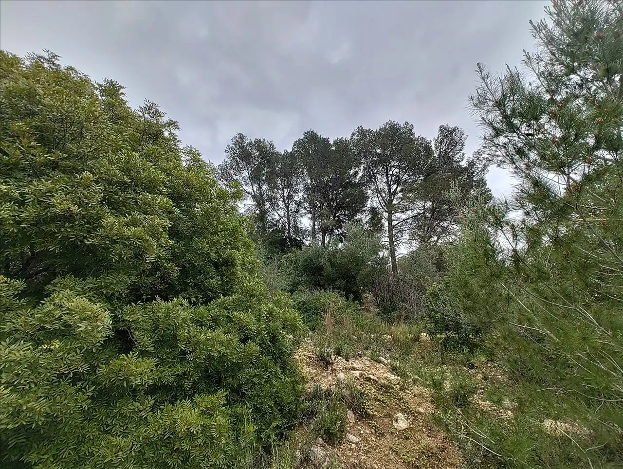 Terreno residencial en venta en Cantalars, Pol.9, Parc. 123(A,B,C Y D) Y Parcela 233. Barranco De Montell, imagen 16