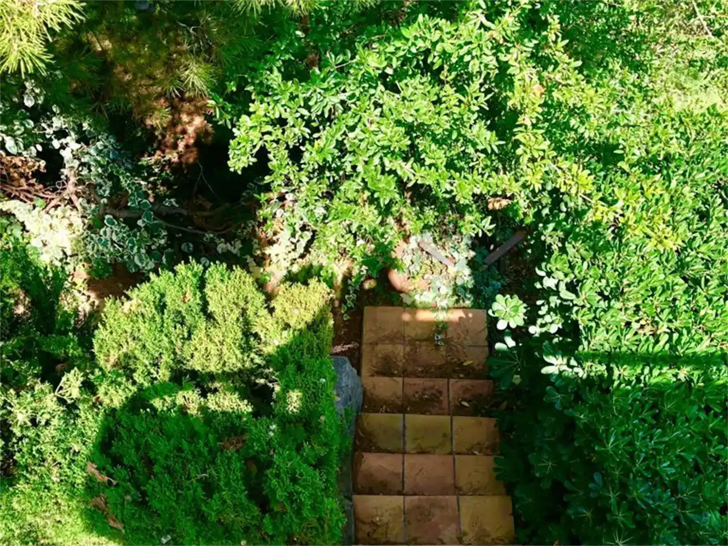 Jardí de Casa o xalet en venda en L'Alcora amb Piscina i Balcó