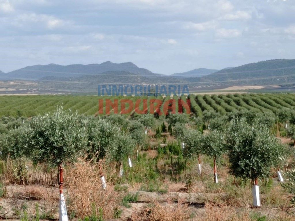 Country house zum verkauf in Saucedilla