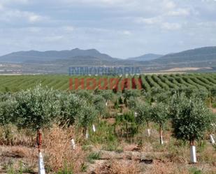 Finca rústica en venda en Saucedilla