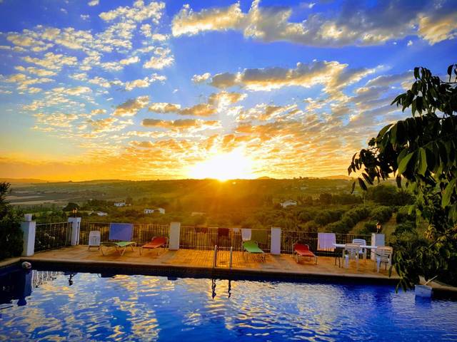 Finca rústica en Venta en Camino de la Hedionda en Partidas Norte