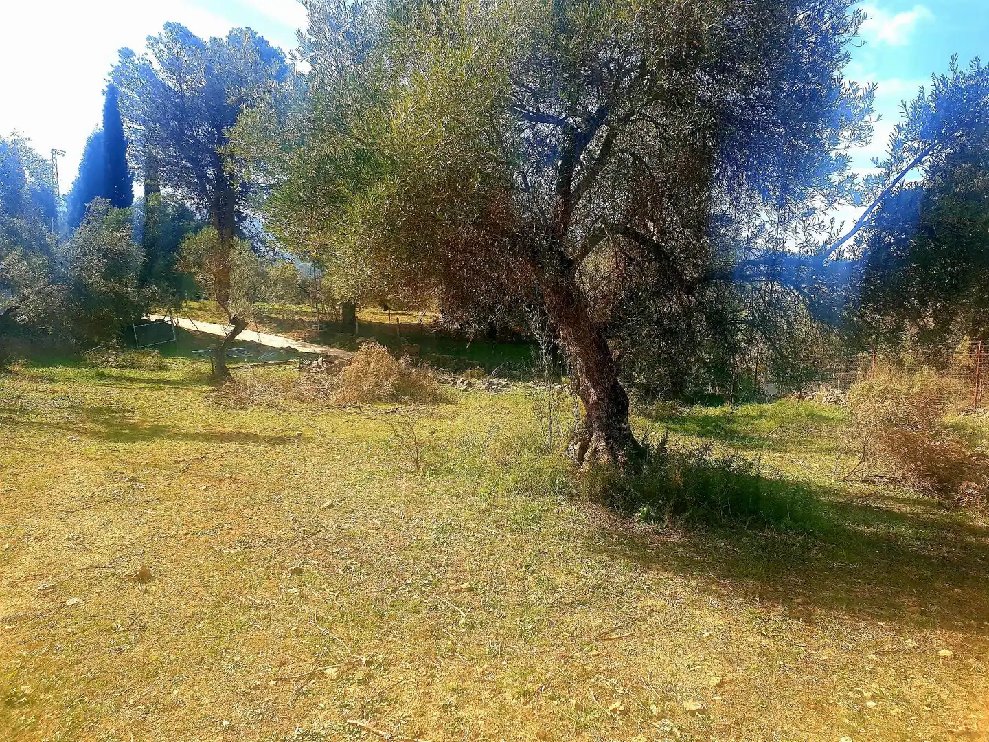 Terrenys i solars en venda a La Planilla, Cra. A-6300, imagen 7