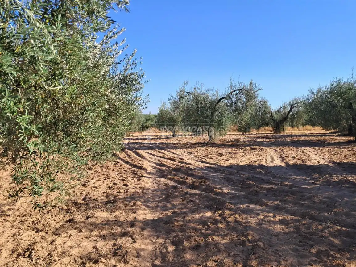 Terreni e lotti in vendita a Pilas, imagen 10
