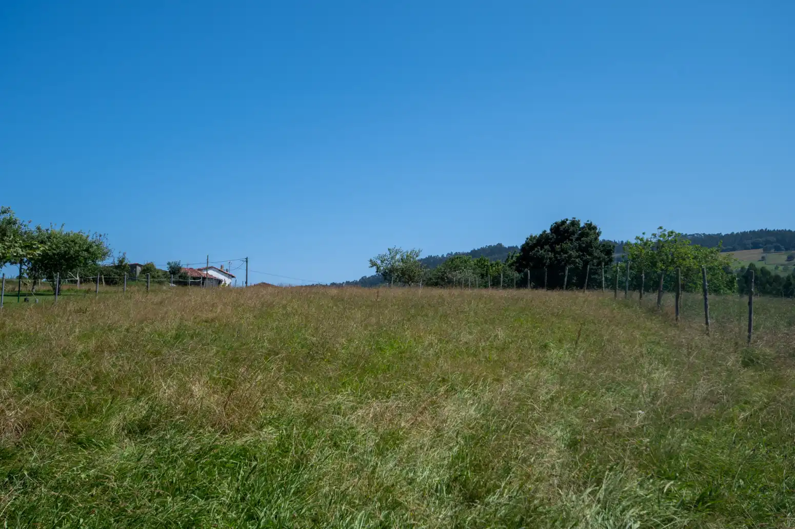Terreny residencial en venda a Venta de las Ranas - Venta Las Ranas, imagen 37