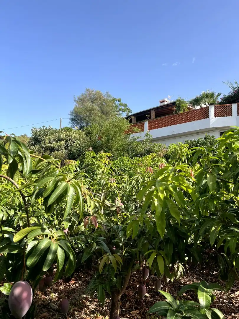 Casa rustica con piscina in vendita a Molvízar, imagen 50
