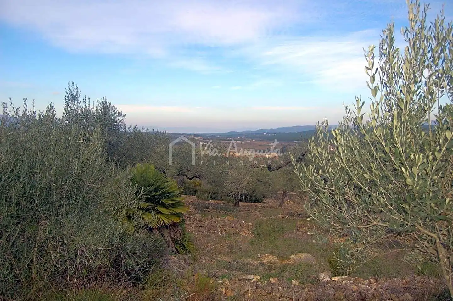 Terreno rustico in vendita a Burgar, imagen 18