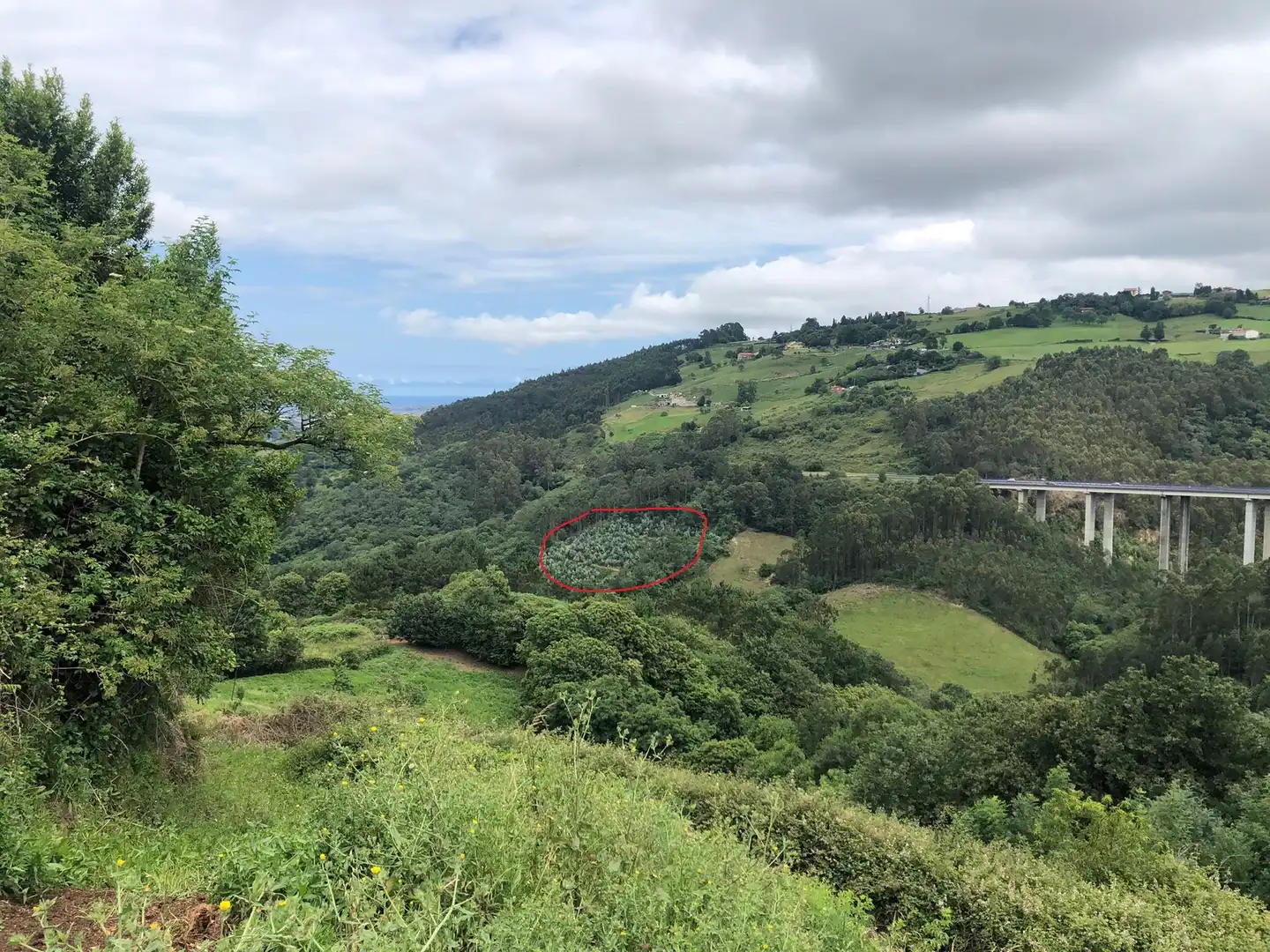 Terreno rustico in vendita a Rural, imagen 7