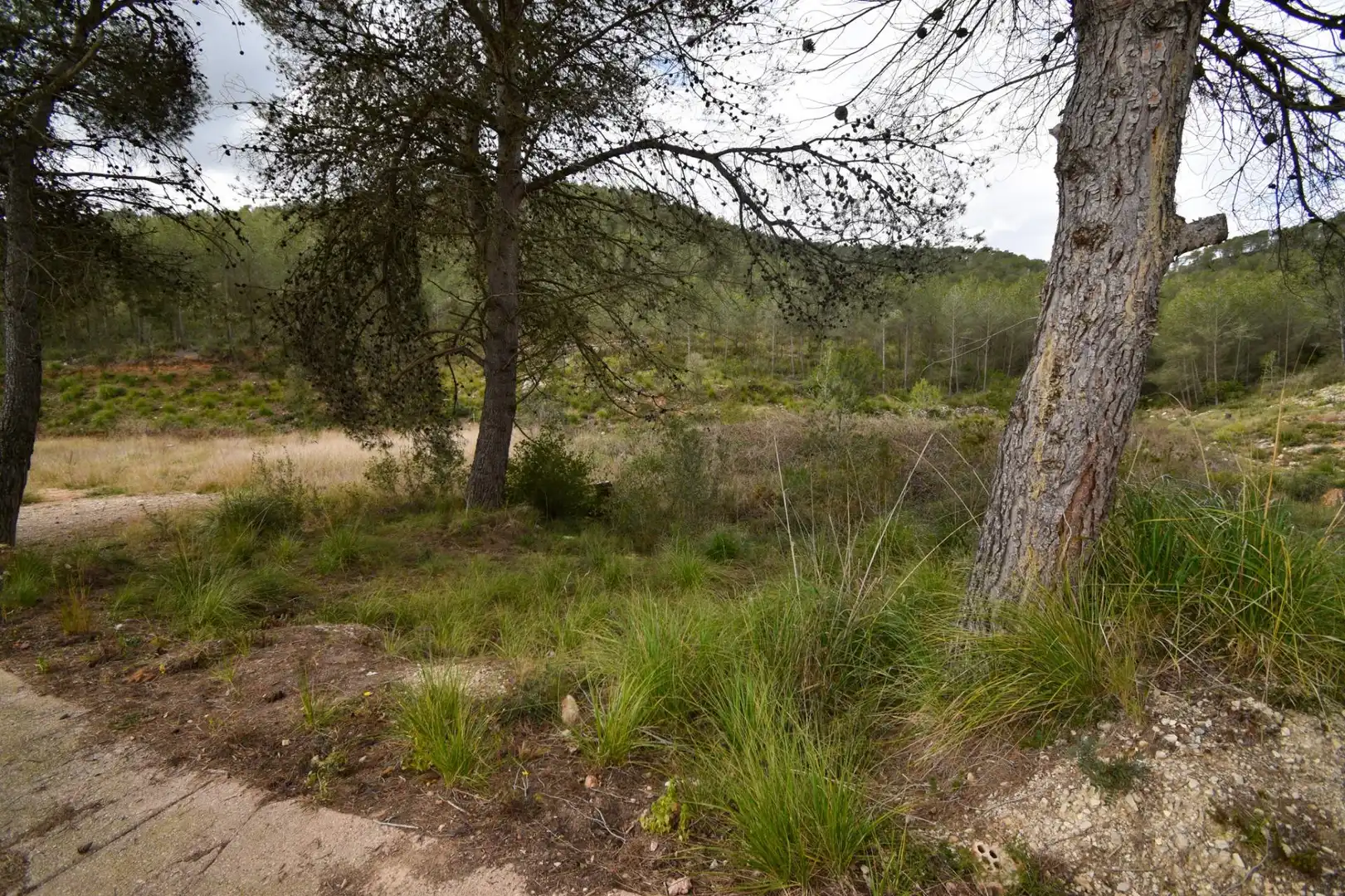 Terreno residencial en venta en Olivella, imagen 7