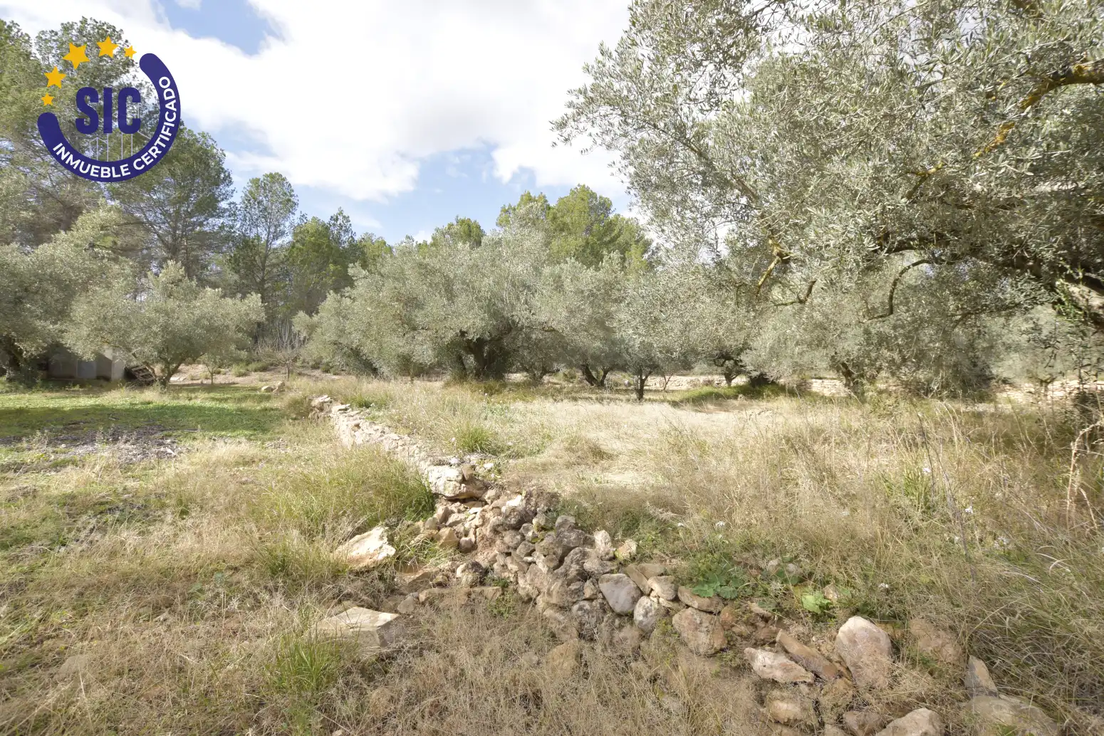 Land for sale in Jérica