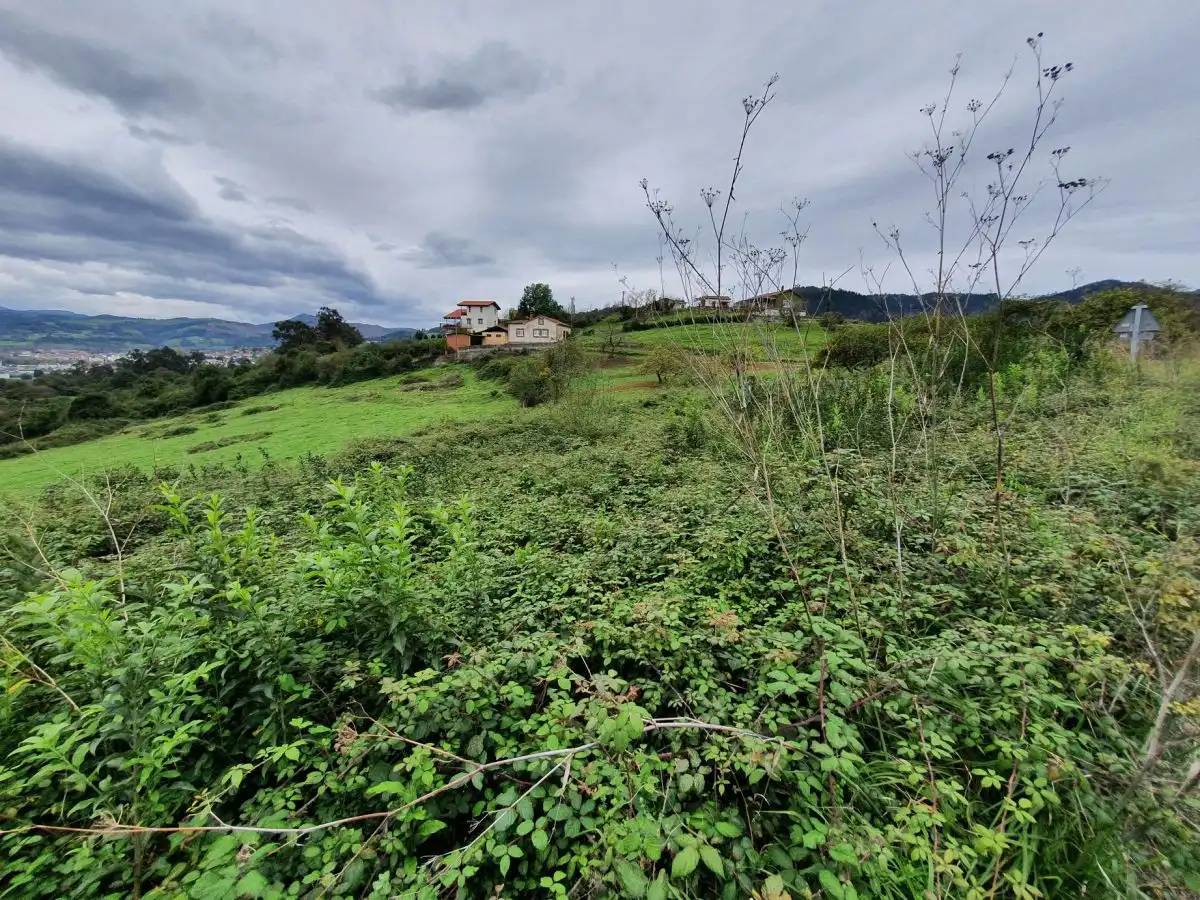 Terreno residencial en venta en Candamo, imagen 4