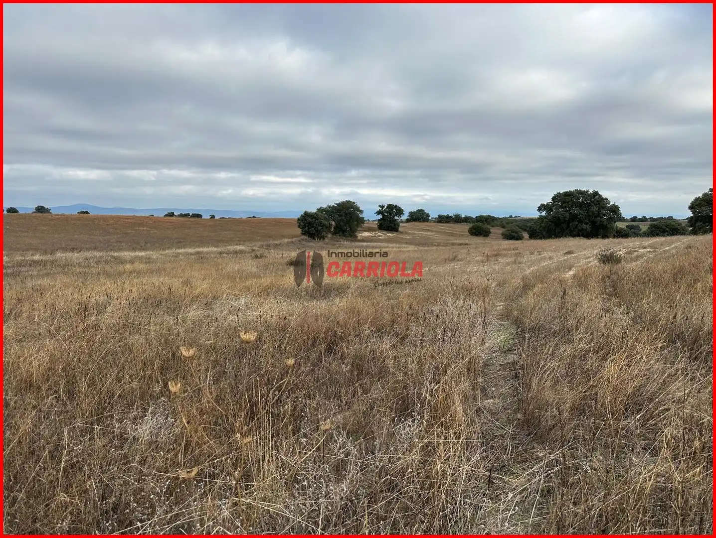 Terrain rustique à vendre à Méntrida, imagen 4