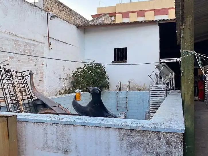 Vista exterior de Casa adosada en venda en Dos Hermanas amb Piscina