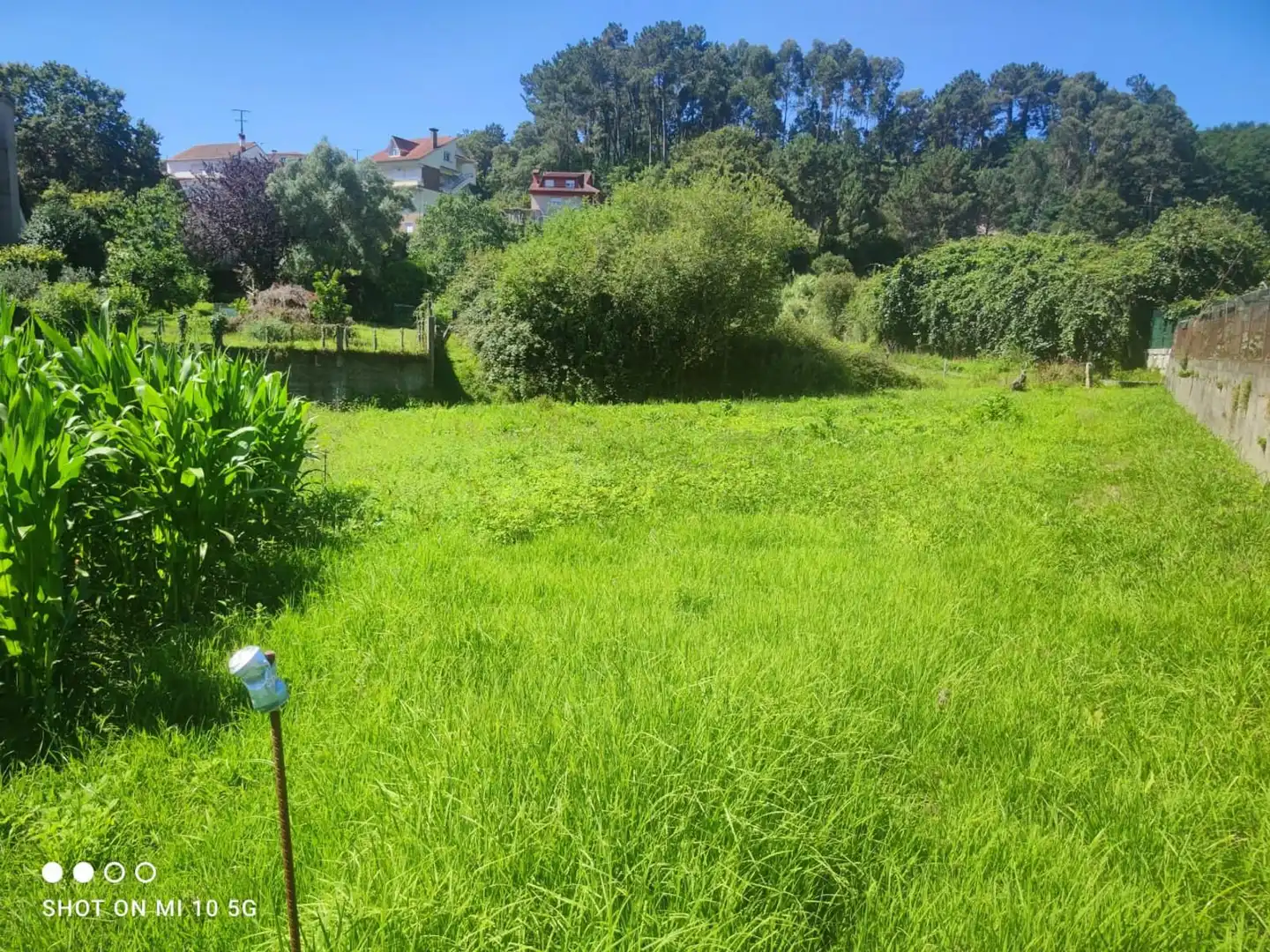 Terrain rustique à vendre à Valadares - Beade, imagen 3