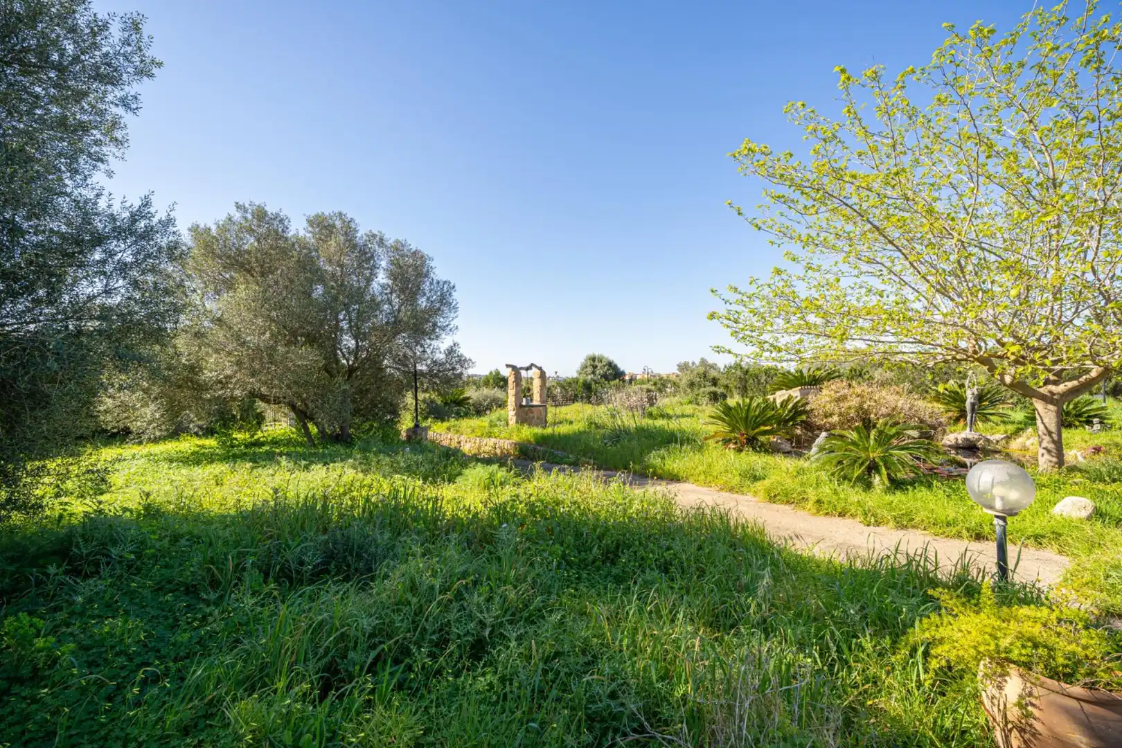 Grundstücke zum Verkauf in  Palma de Mallorca