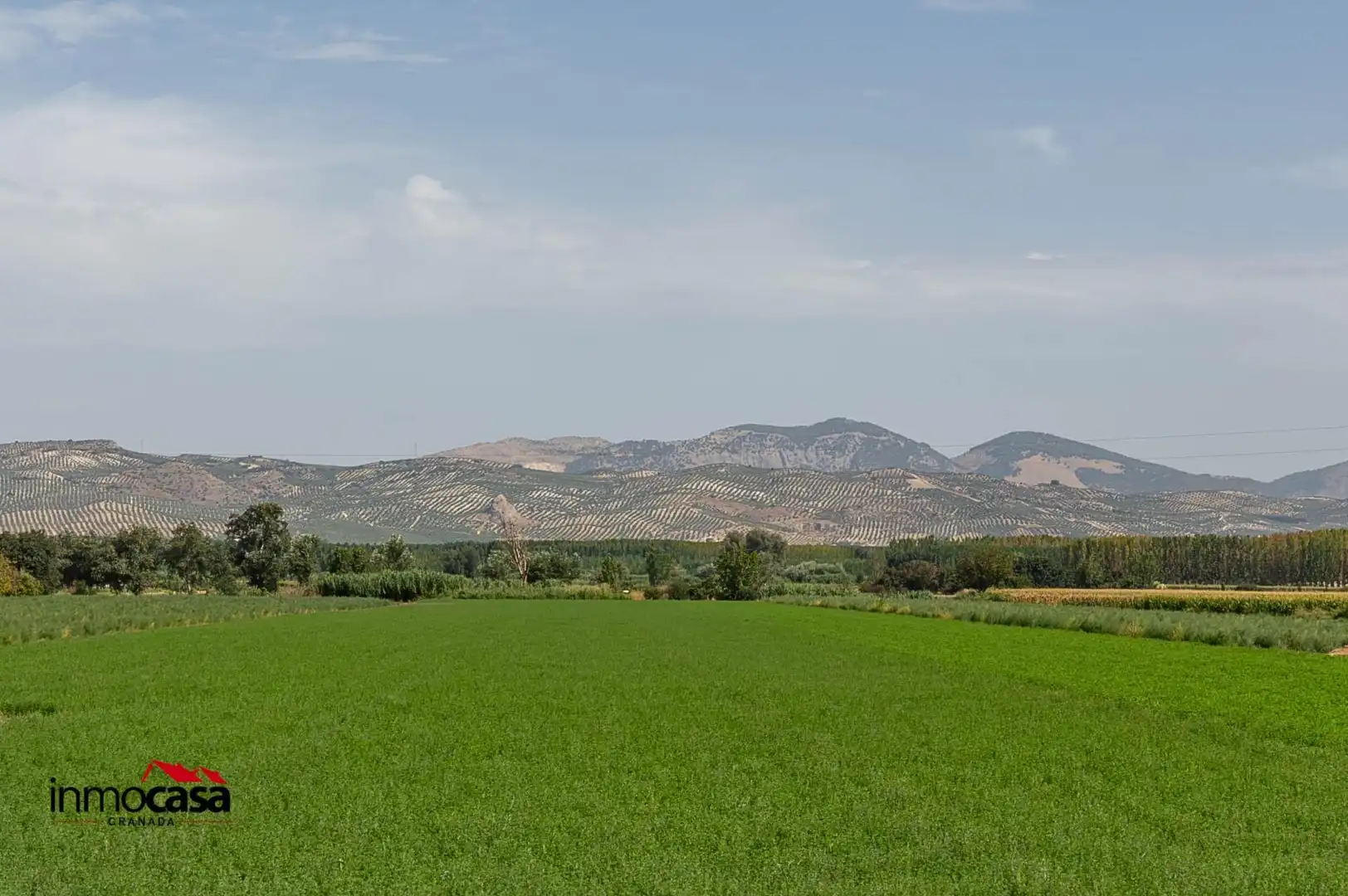 Flat for sale in Cijuela