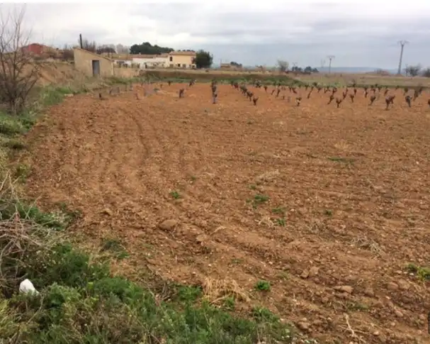 Terrain résidentiel à vendre à Requena, imagen 6