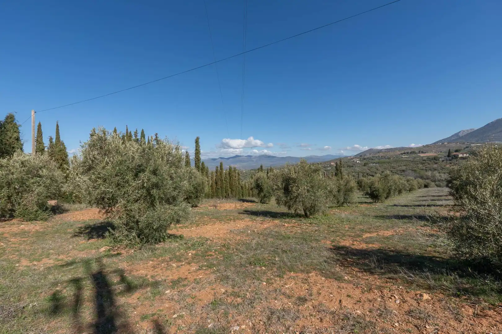 Terreni e lotti in vendita a Cogollos de la Vega, imagen 6