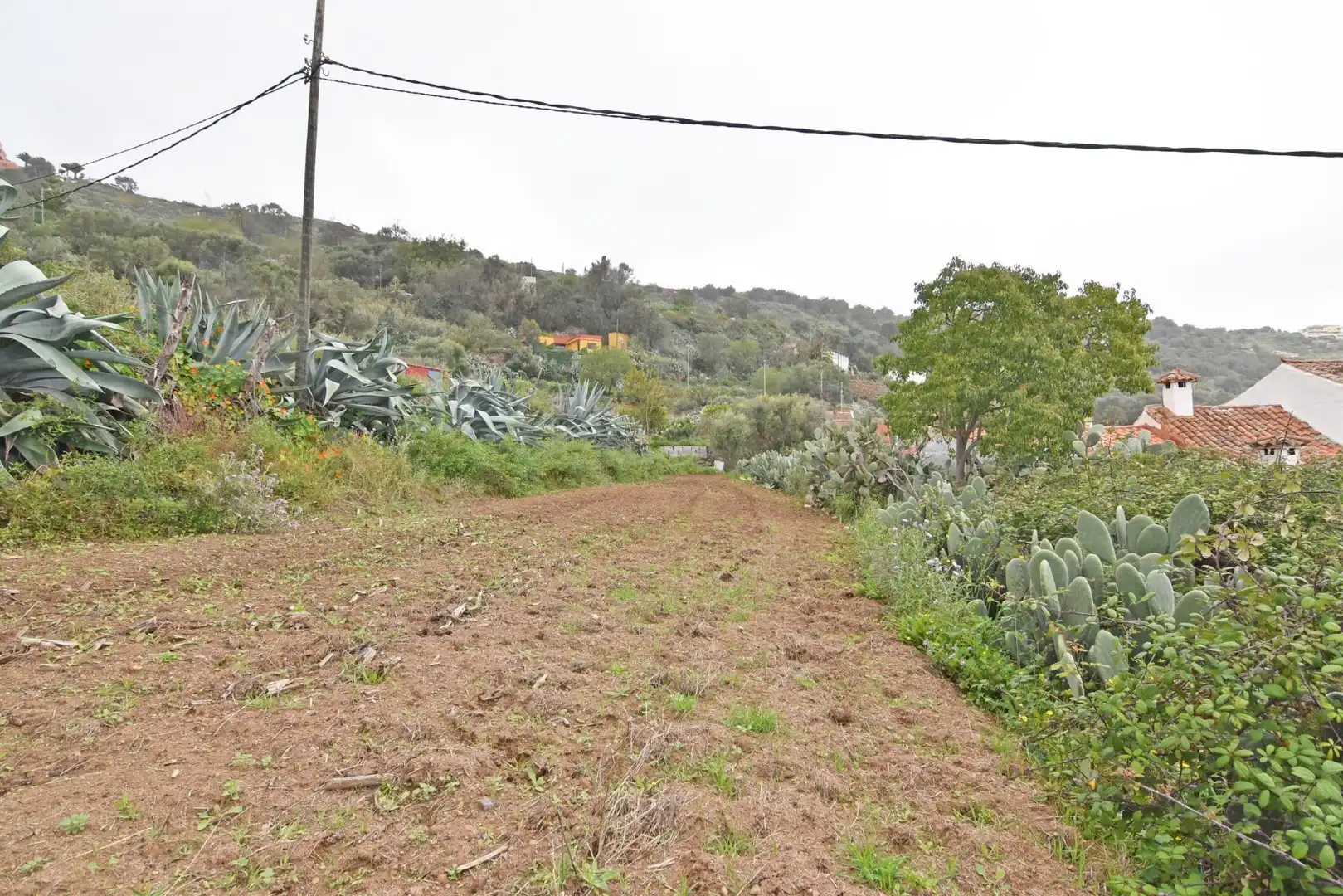 Finca rústica en venta en Camino PINO SANTO BAJO, 2, Portada Verde - Lomo Espino - Guanche