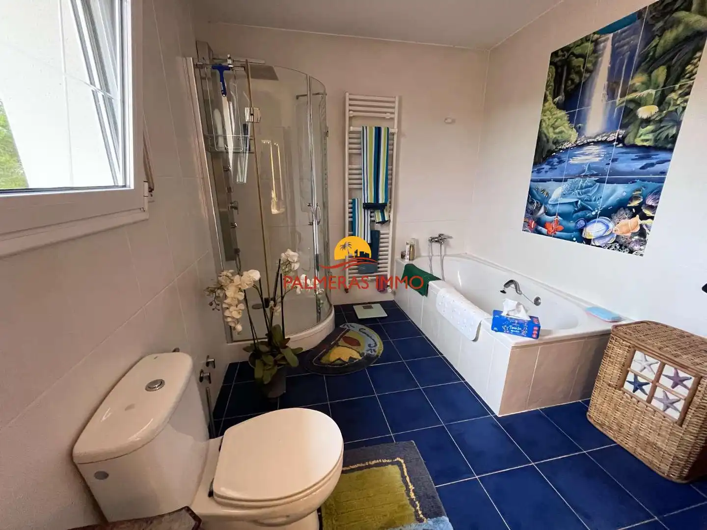 Bany de Casa o xalet en venda en L'Ametlla de Mar  amb Terrassa i Piscina
