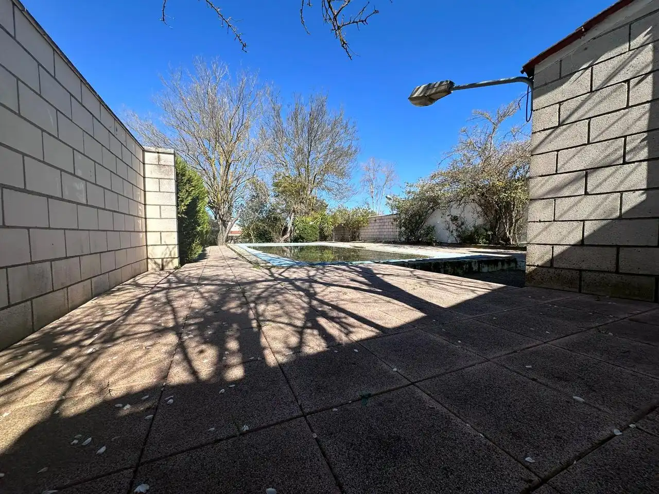 Piscina de Casa o chalet en venta en Puebla de Sancho Pérez