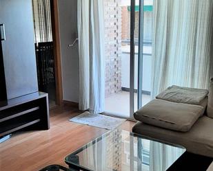 Living room of Flat to rent in Alicante / Alacant  with Air Conditioner, Heating and Terrace