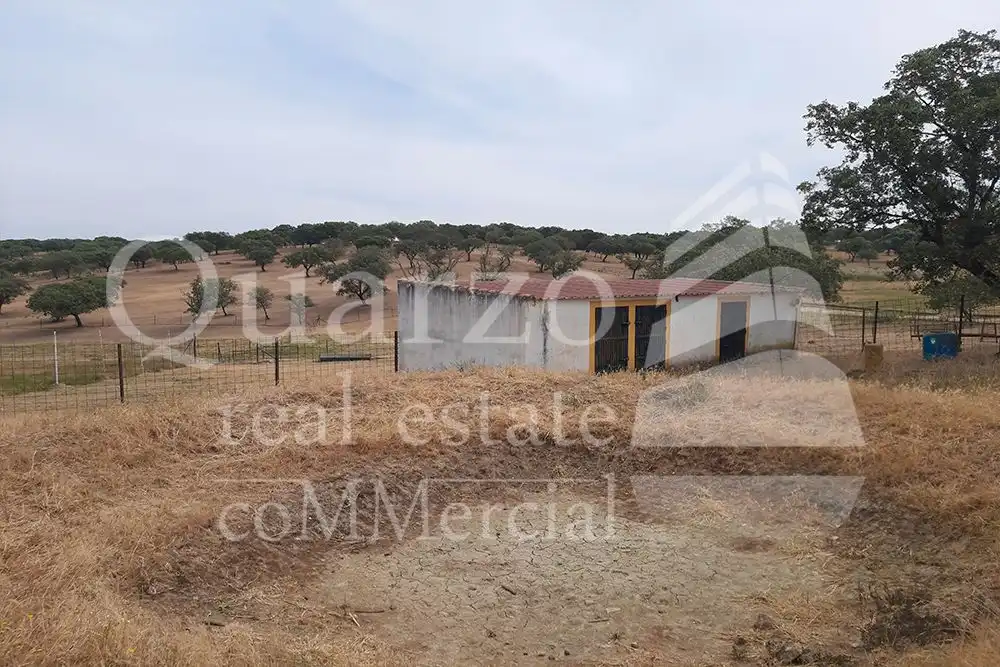 Finca rústica en venda en Herrera de Alcántara