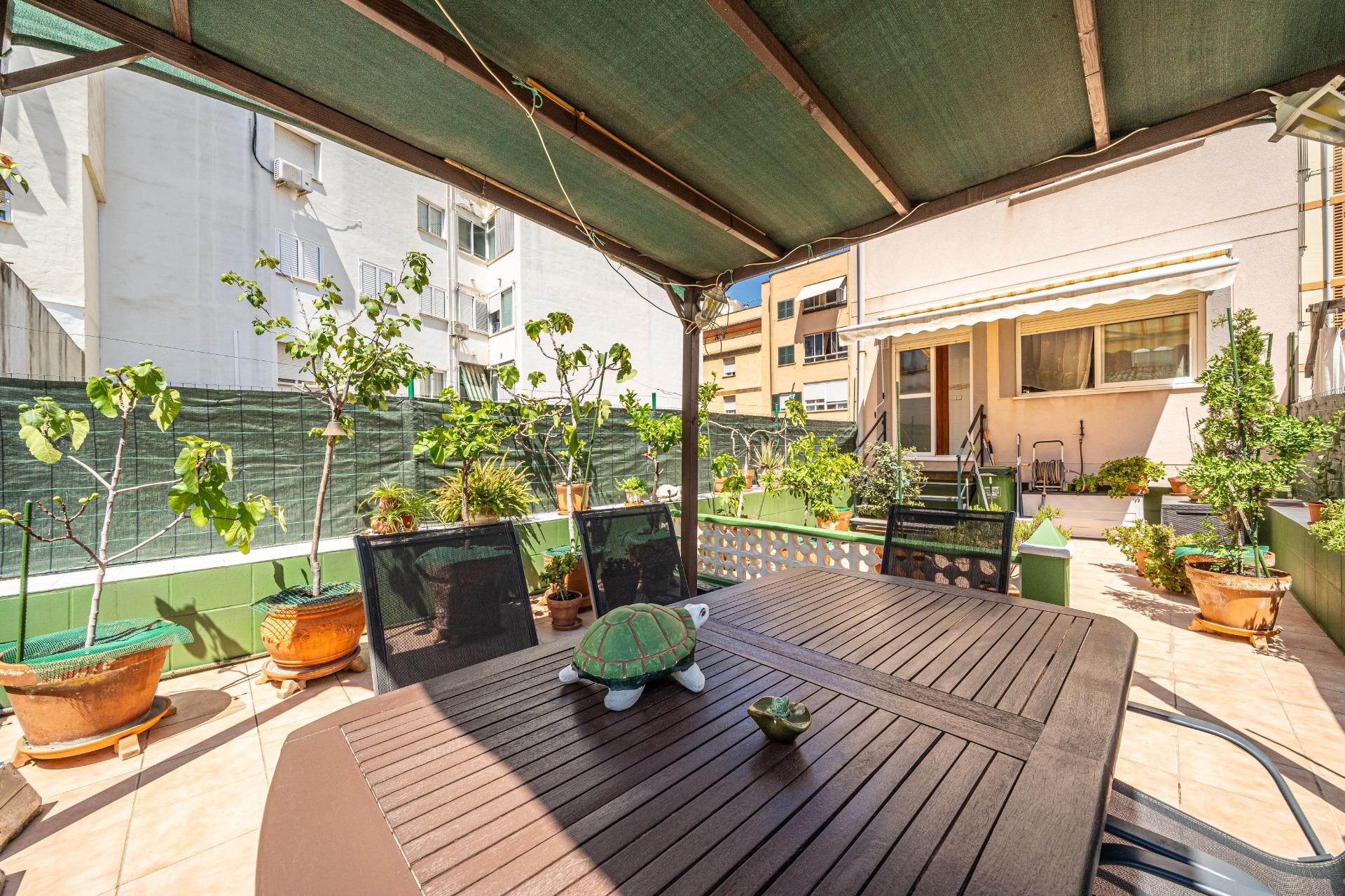Terrassa de Casa o xalet en venda en  Palma de Mallorca amb Terrassa i Balcó