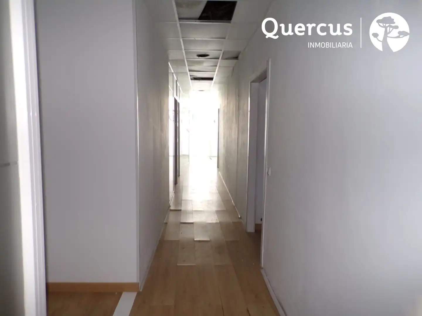 Local commercial à louer à Ezequiel González - Conde de Sepúlveda, imagen 6
