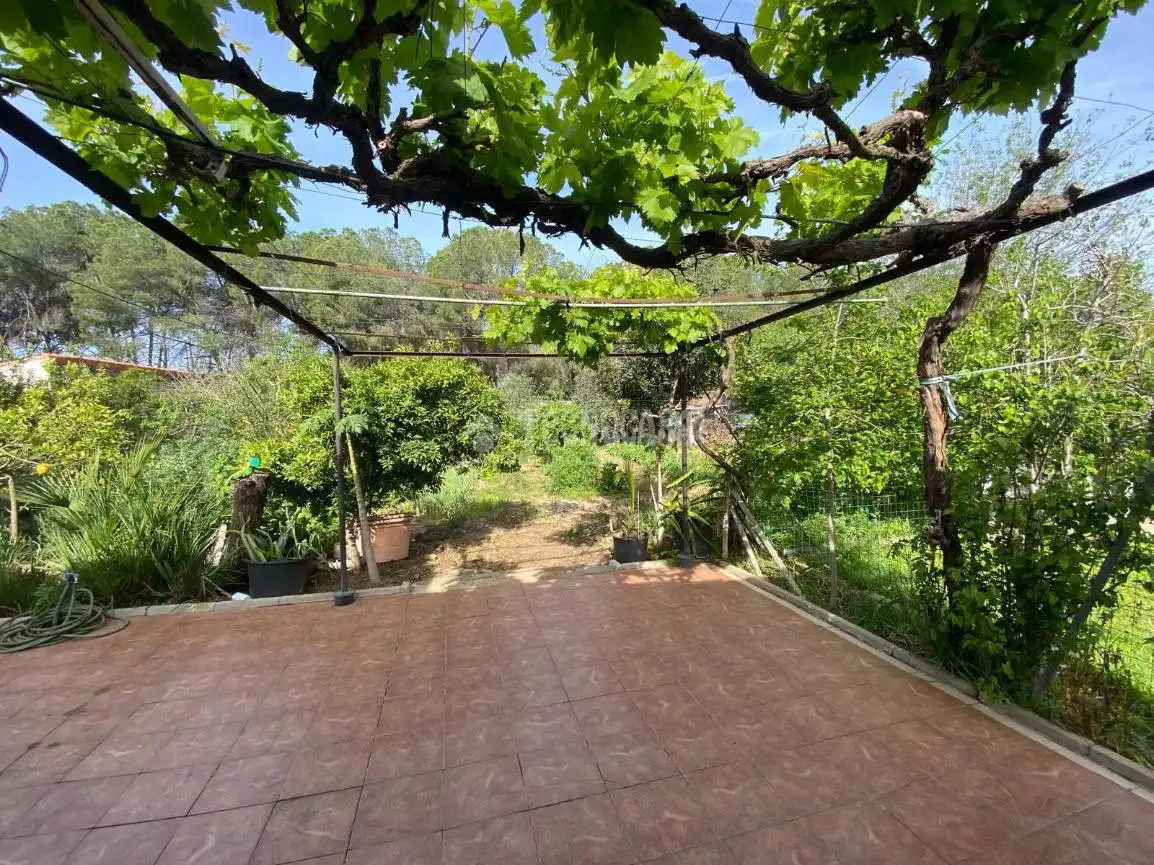 Finca rústica en venda a Los Palacios y Villafranca