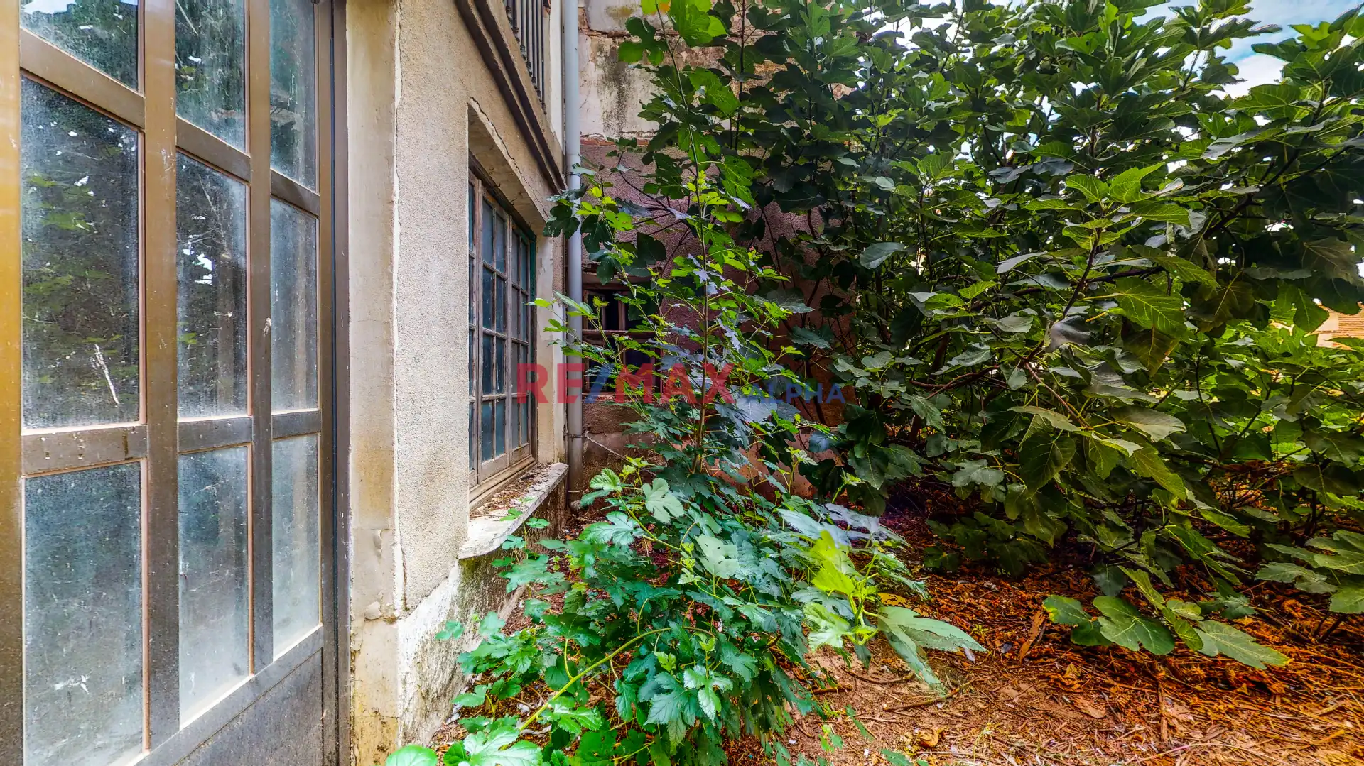 Vista exterior de Finca rústica en venda en Domingo Pérez amb Jardí privat