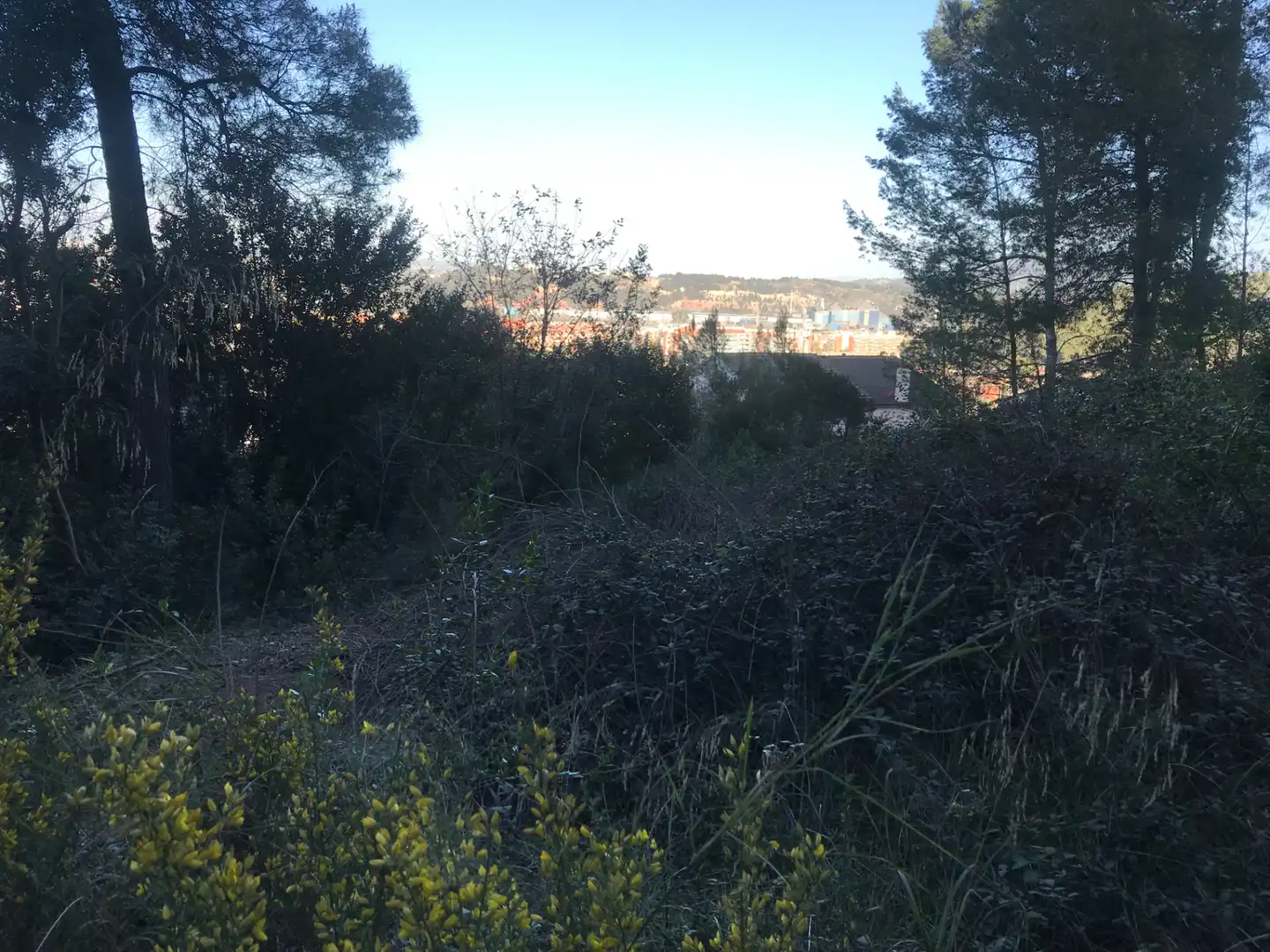 Terreno residencial en venta en Carrer del Montsià 19, imagen 4