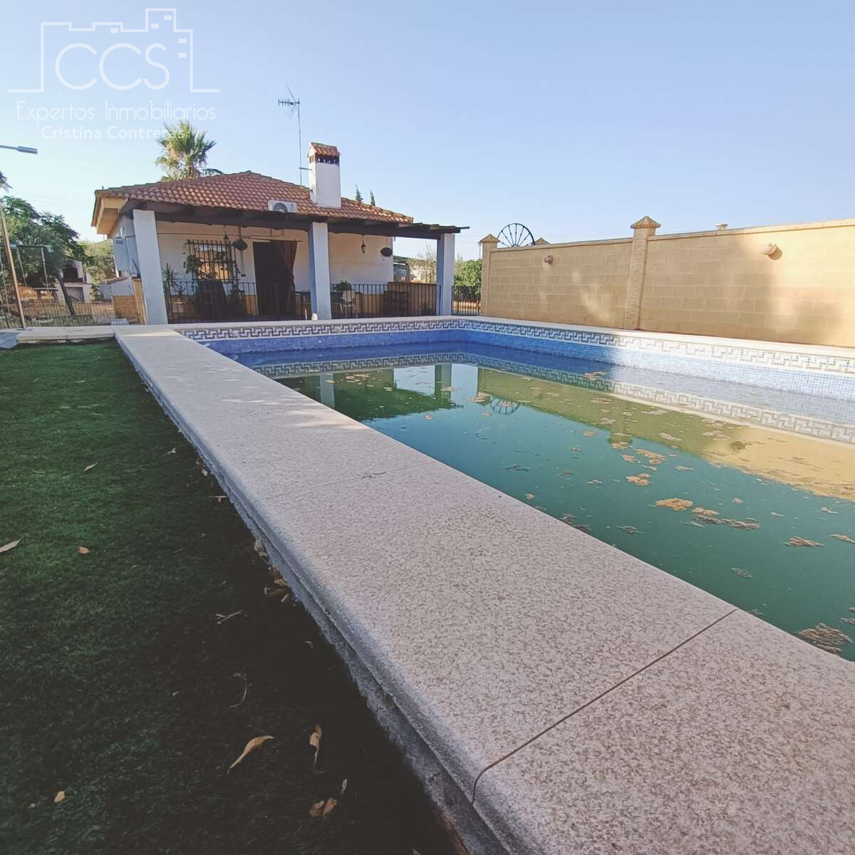 Piscina de Casa o xalet en venda en Carmona amb Aire condicionat, Jardí privat i Piscina