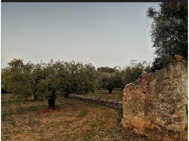 Terreno rustico in vendita a Calle Camino de Godall